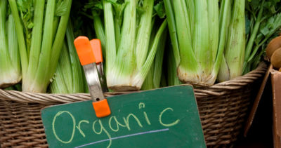 Vegetables with "organic" label.