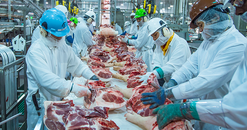 Image of workers in a pork processing facility handling raw meat