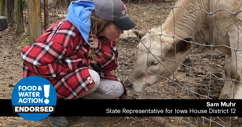 Iowa Needs Factory Farm Fighters. Here Are Our Top Picks In 2020.