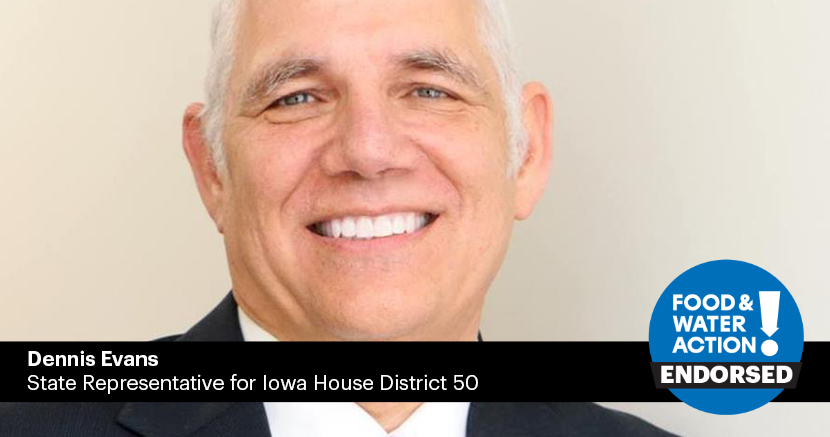 Iowa Needs Factory Farm Fighters. Here Are Our Top Picks In 2020.