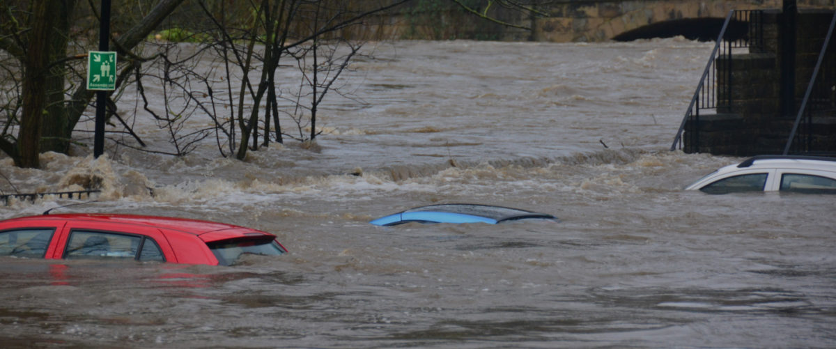 Food, Water, And Climate Are Under Attack. We Must Protect Them.