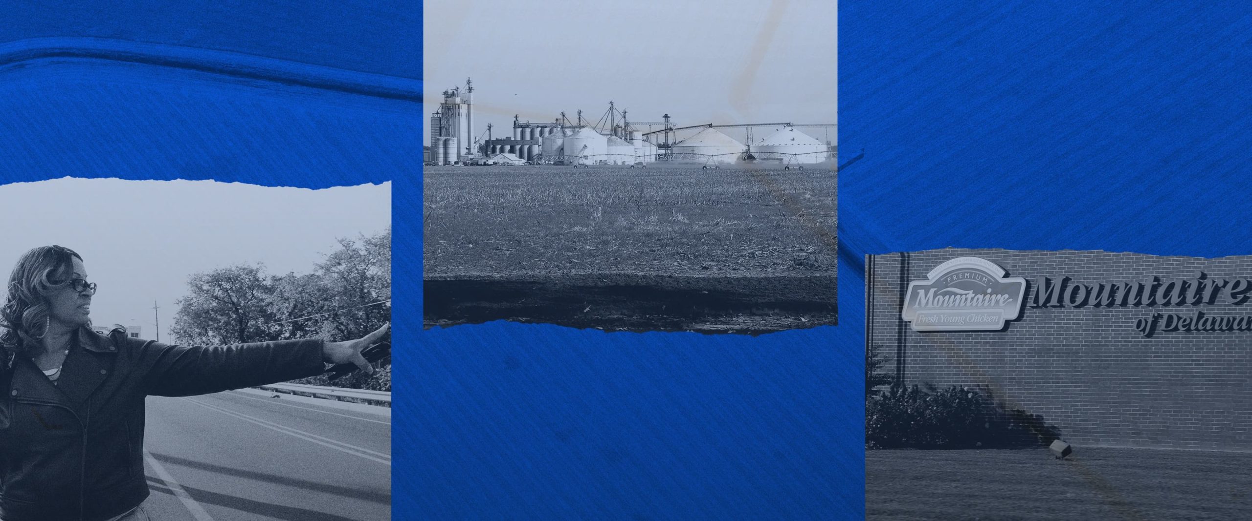 Her Grandfather Left A Land Legacy That Mountaire Poisoned